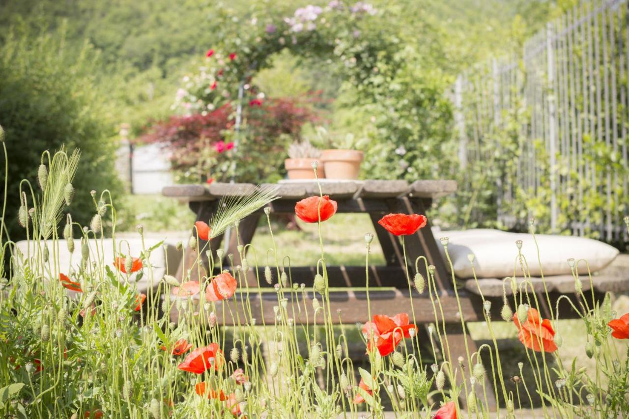 Villa Porcigliano Olive Grove Polcanto ภายนอก รูปภาพ