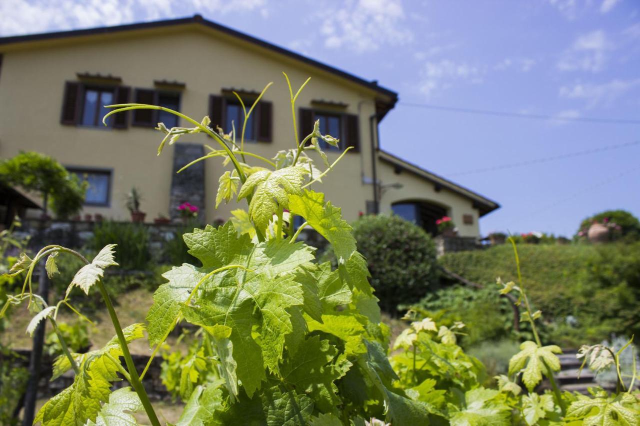 Villa Porcigliano Olive Grove Polcanto ภายนอก รูปภาพ