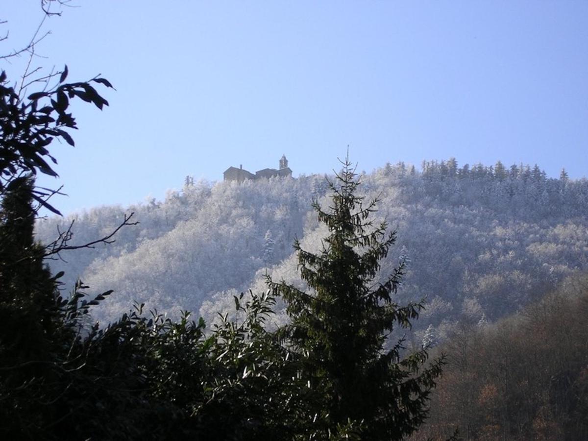 Villa Porcigliano Olive Grove Polcanto ภายนอก รูปภาพ