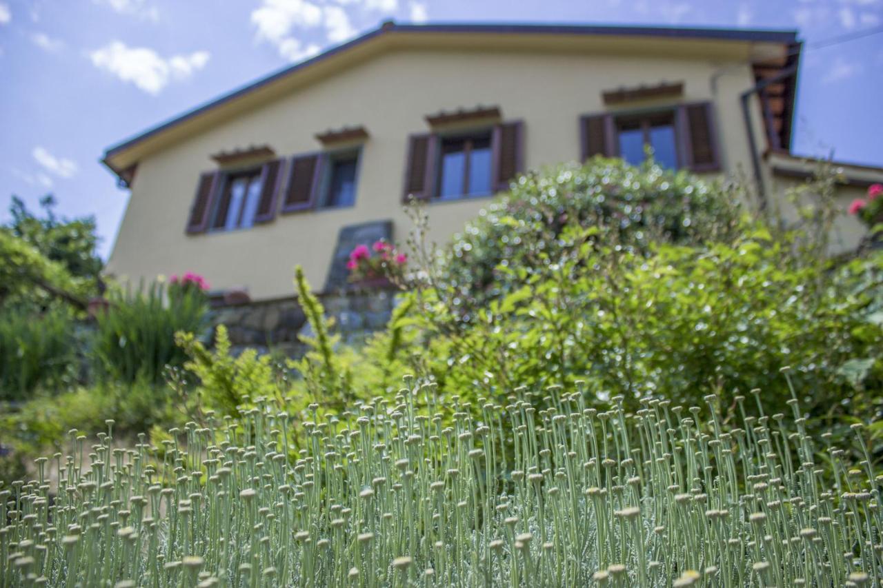 Villa Porcigliano Olive Grove Polcanto ภายนอก รูปภาพ