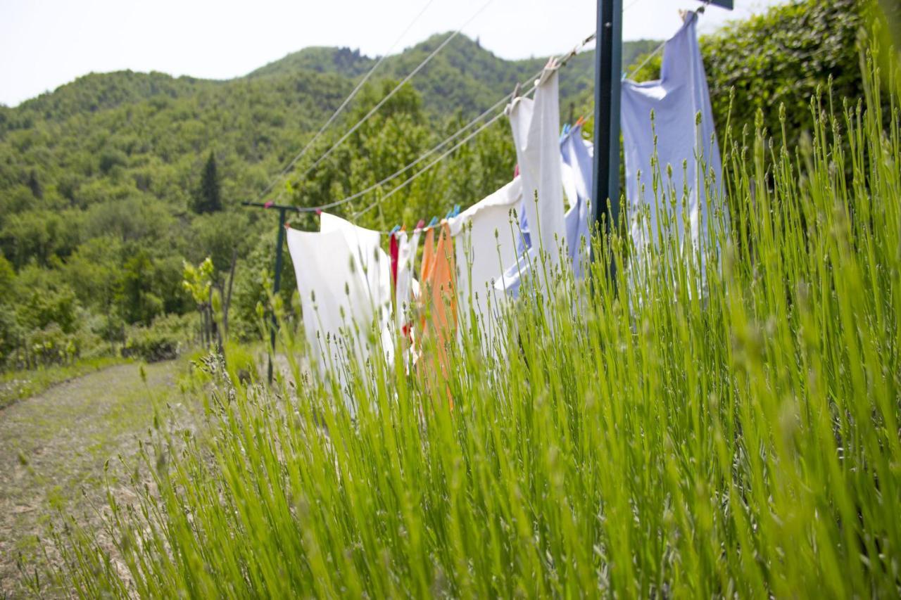 Villa Porcigliano Olive Grove Polcanto ภายนอก รูปภาพ