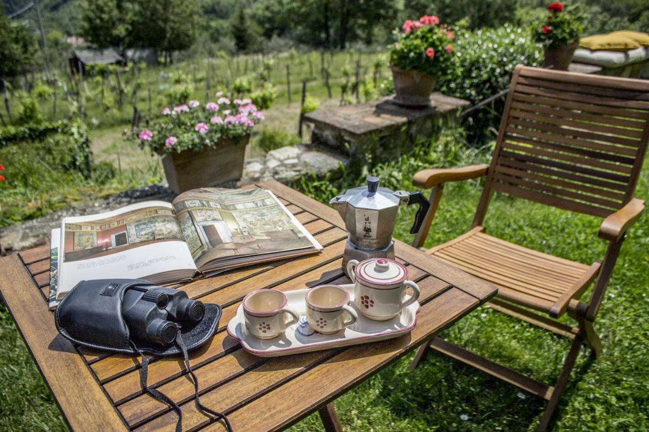 Villa Porcigliano Olive Grove Polcanto ภายนอก รูปภาพ