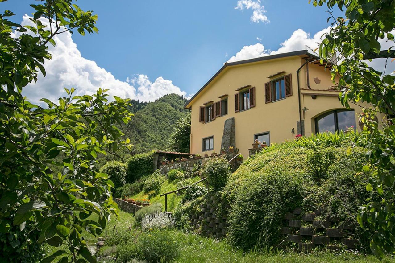 Villa Porcigliano Olive Grove Polcanto ภายนอก รูปภาพ
